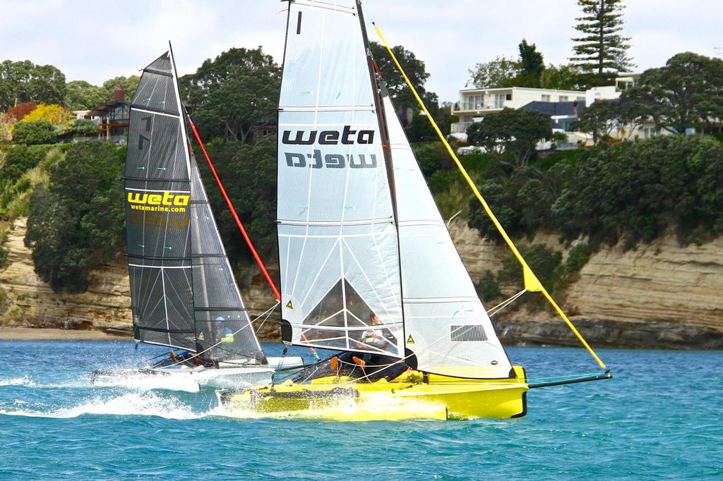 The Weta will be the second class sailed at the 2017 World Masters Games © Richard Gladwell www.photosport.co.nz